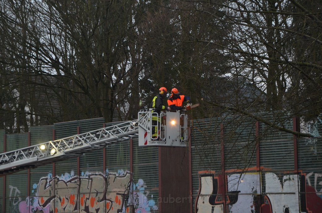 Einsatz BF Baum Koeln Vingst Vingster Ring P08.JPG - Miklos Laubert